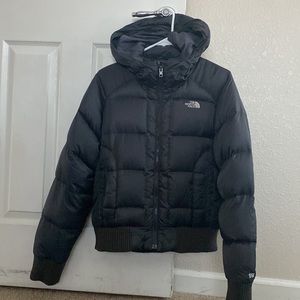 The north face coat